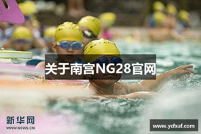 关于南宫NG28官网